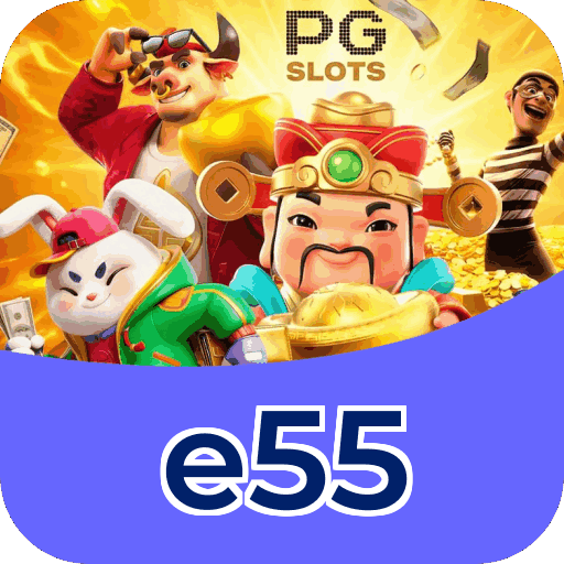 Interface e55
