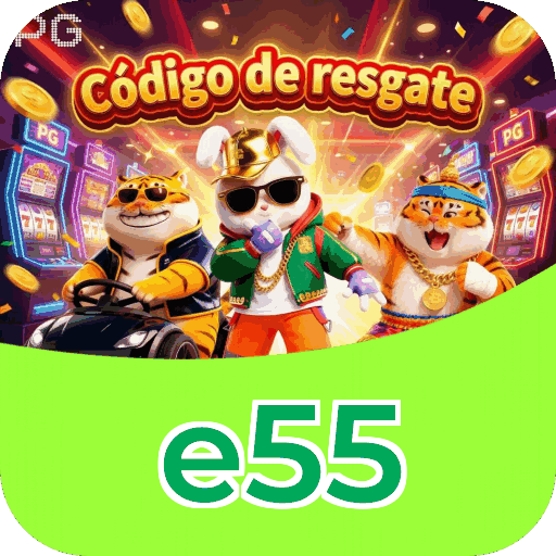 Métodos de pagamento aceitos na e55